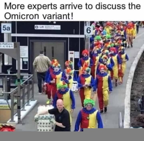 sngine_6a0bf719c6c7ffda62add8da19528500