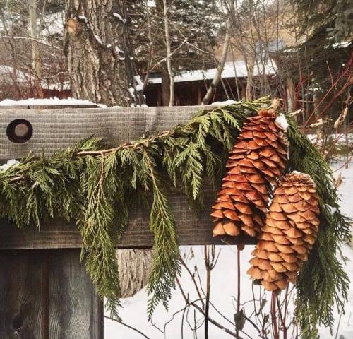 259680441_1792239560977114_247261980200188227_n