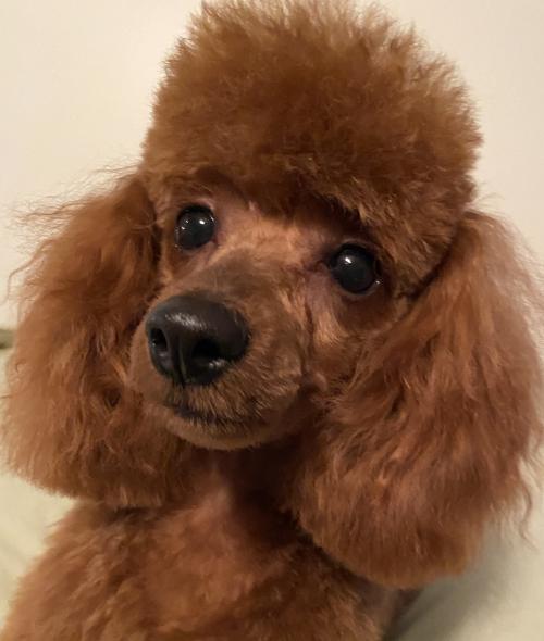 01:48:07 GMT-0500 (EST).image