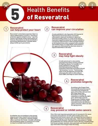 Screenshot_20211112-092452_Google