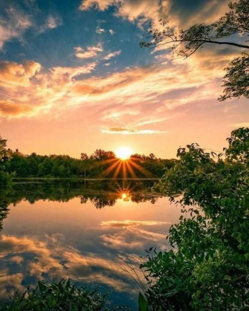 FB_IMG_1637667003777