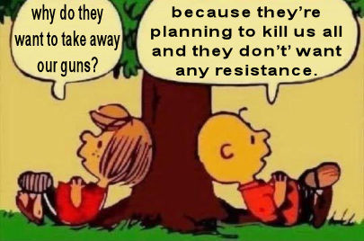 gun control198