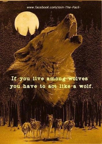 19:14:30 GMT-0600 (CST)