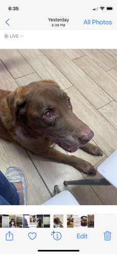 06:36:12 GMT-0500 (EST).image