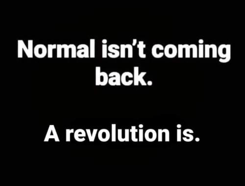 FB_IMG_1637189806961