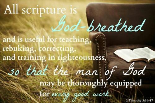 scripture449