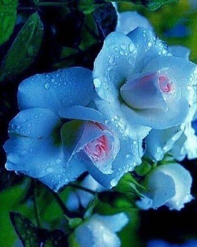 21:07:19 GMT-0500 (CDT)