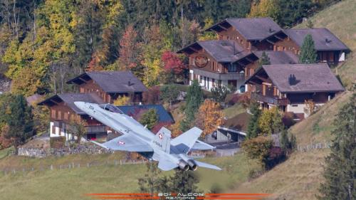 254892491_462377608790601_105615821265902922_n