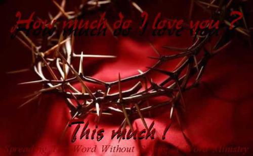 16734_393348074080663_1442963395_n