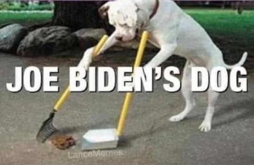 3EC604FC-FF69-418A-B59D-E4CFD1E123F5