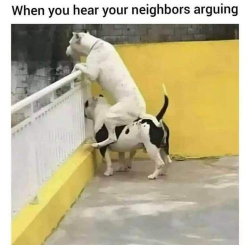 13:15:30 GMT-0500 (CDT)