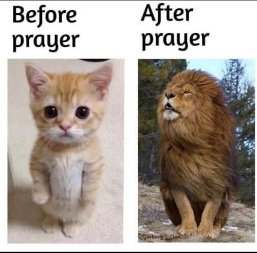 IMG_20211106_102230_733