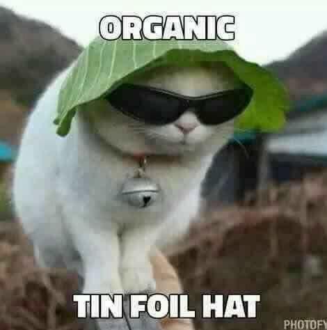 19:32:18 GMT-0600 (CST)