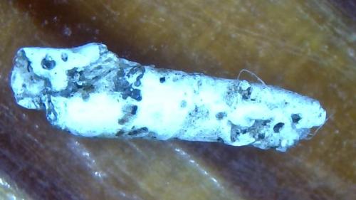 Stiff Lower Back Rod (6)