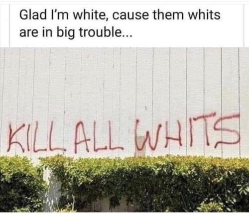 image_1637807429.093