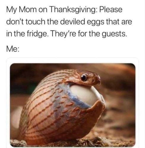 251345333_4892147984150927_775005206672660716_n