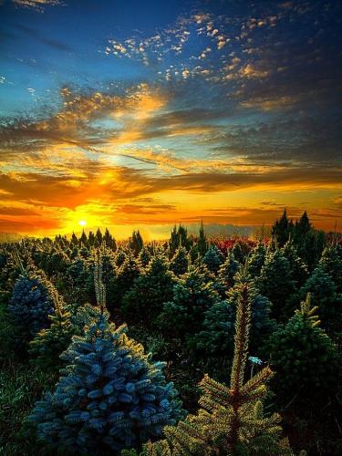 19:57:08 GMT-0600 (CST)