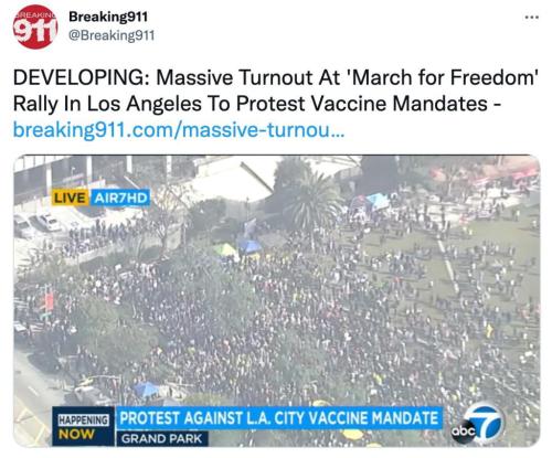 255501818_461019538716445_1380737154990950950_n