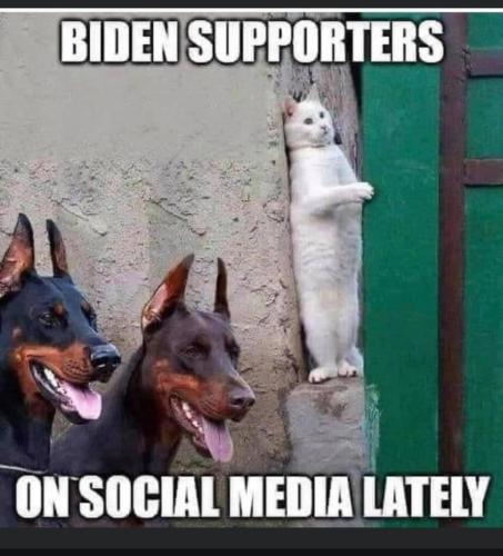 256349038_4570858593009852_3380015081843356939_n