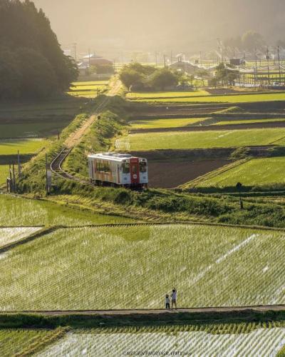 259421113_447196623414252_7836516377999936010_n