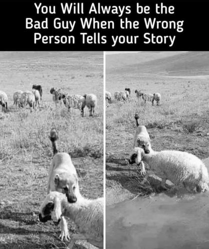 FB_IMG_1638158649029