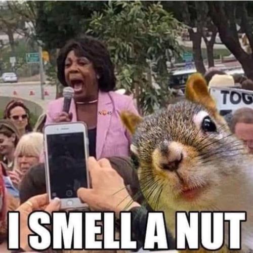 Screenshot_20211115-155246_Chrome