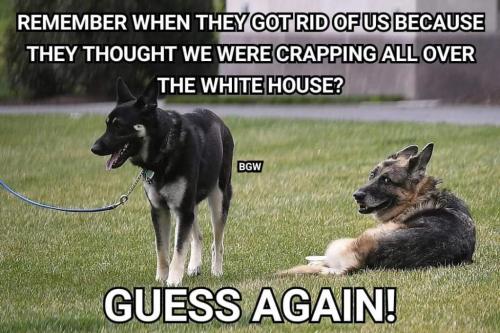 FB_IMG_1635799933303