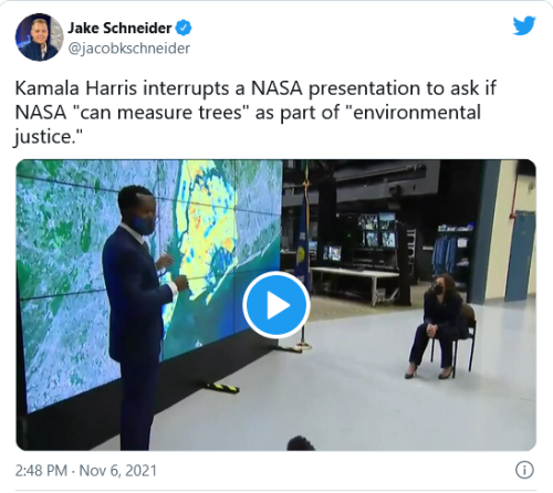 Veep Asks About 'Measuring Trees' in Neighborhoods by Race - Todd Starnes