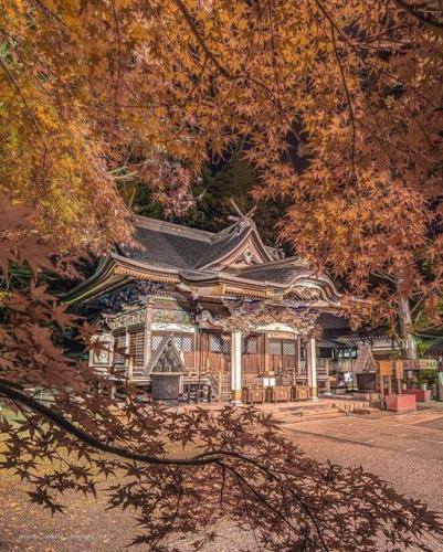 251158603_425998555562819_4833285517411789857_n