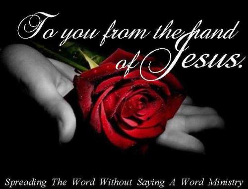 60587_385936114821859_1605726036_n