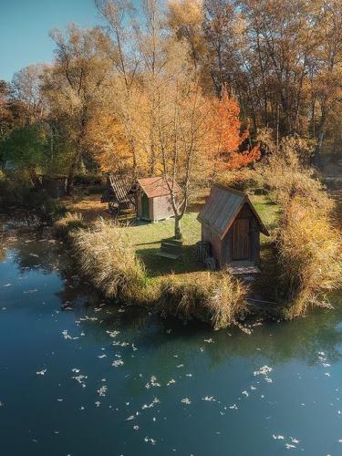 258859030_397335738483743_1980780588349947309_n