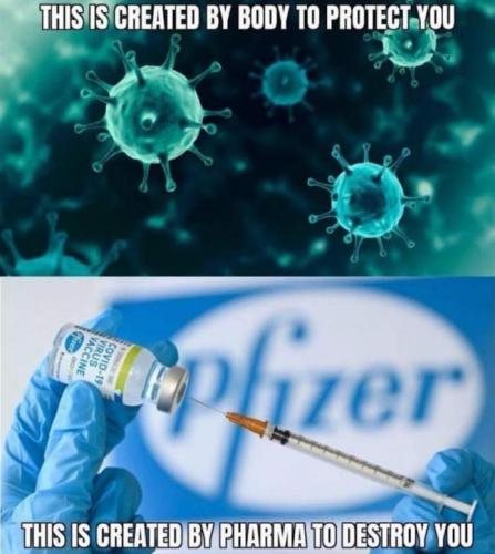 pfizer19