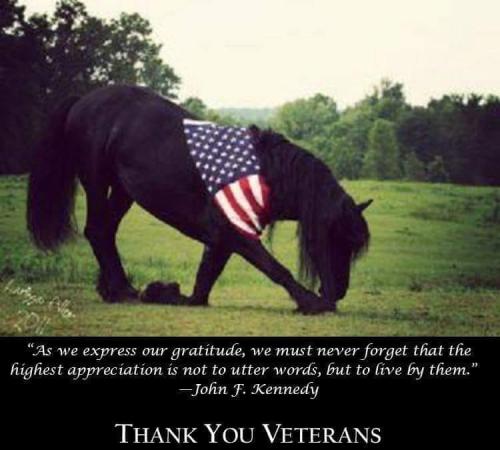 thank vets f