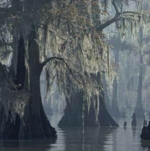 15:10:20 GMT-0600 (CST)