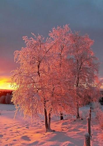 19:56:00 GMT-0600 (CST)