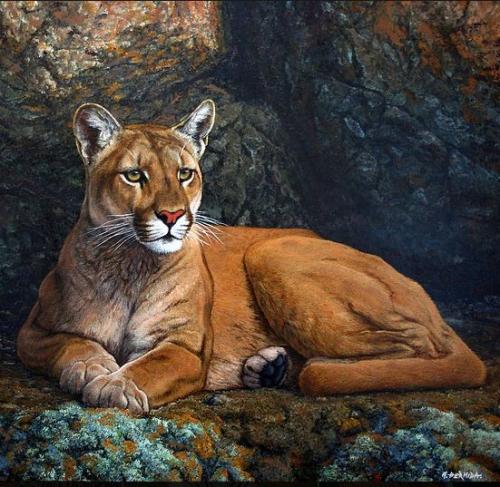 19:50:34 GMT-0500 (CDT)