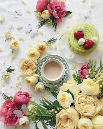 253880905_437524187719067_1269021450197937617_n