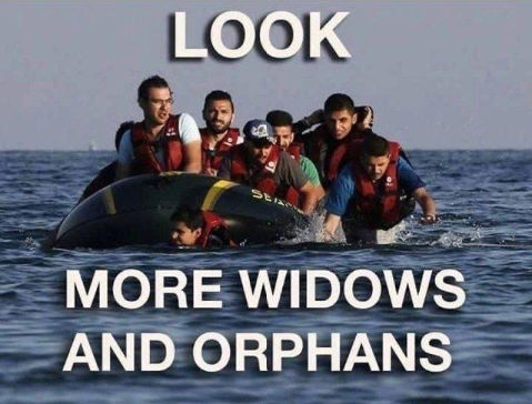 illegal immigration261