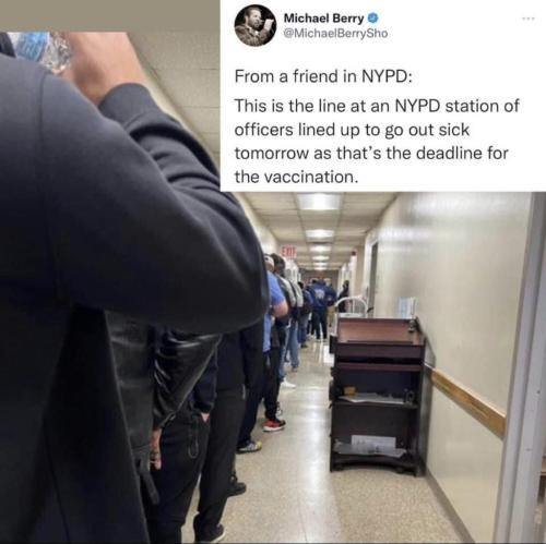 photo_2021-11-01_11-38-31