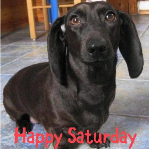 253565089_4462485240497445_4789716686542530569_n