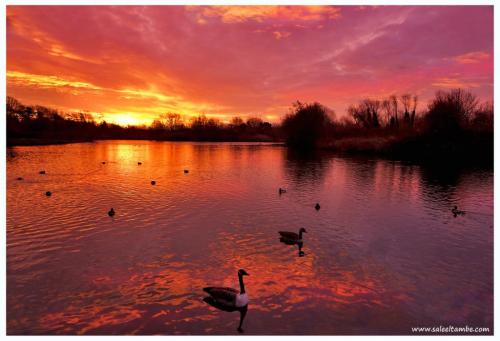 248559402_10226010065213958_6853000413055625576_n