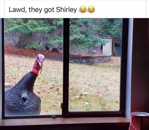 260044201_10158495944629080_2597873182451655087_n