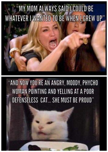 kmaod8Jd6jHpXfxCuIEX_11_c405b6bfdbbc7b496f2cfd49c3fb8fc3_image