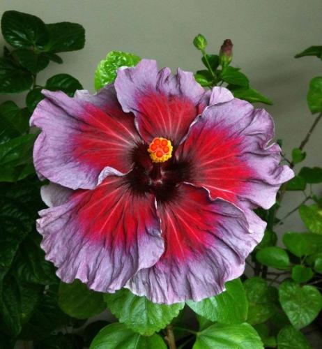 19:36:19 GMT-0600 (CST)