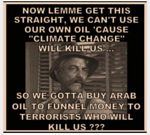 image_1637151724.968