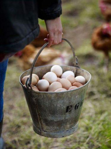 10405303_605423442940228_2778408143470053411_n