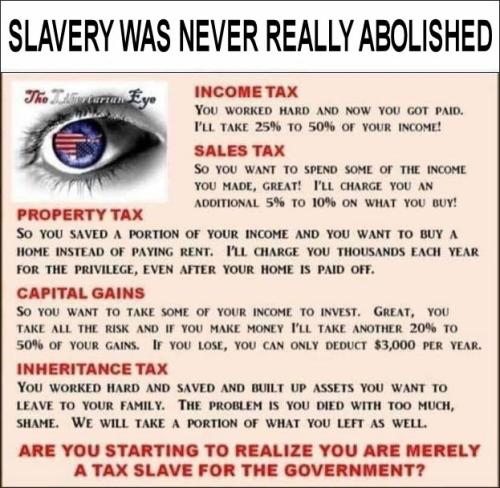 taxes24