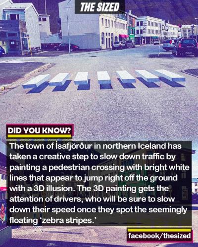 252551241_416043753295281_937471513726851133_n