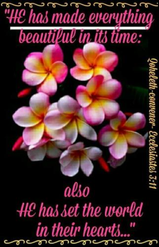 22:28:50 GMT-0900 (AKST)