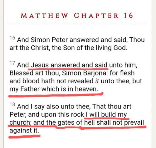 Screenshot_20211117-091537_DuckDuckGo~8